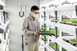 國(guó)內(nèi)led植物工廠一覽